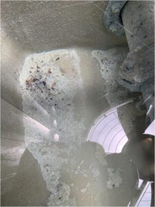 Scale detached and dropped into lower tank by Multi-Eco-III