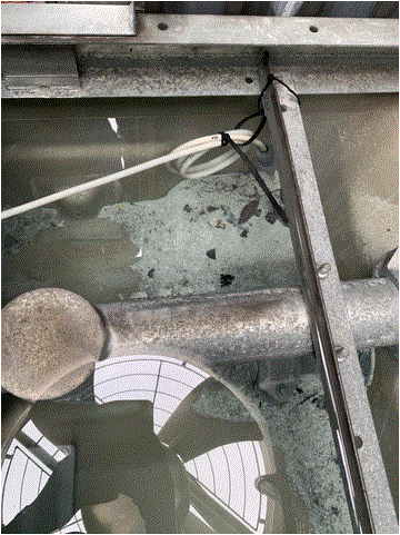 下部水槽へ自然落下した白色スケール