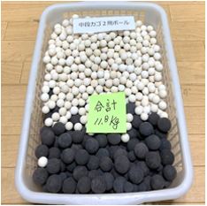 メカセラ・ボール 白・茶